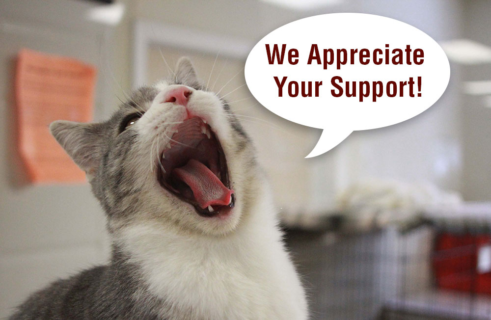 We Appreciate Your Support